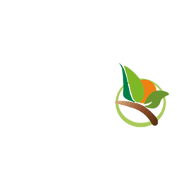 מיכון